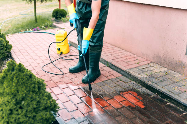 Best Pressure Washing Services for Businesses  in Dupont, PA