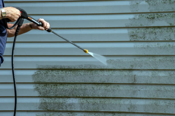 Best Roof Pressure Washing  in Dupont, PA