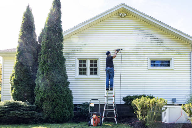 Best Local Pressure Washing Services  in Dupont, PA